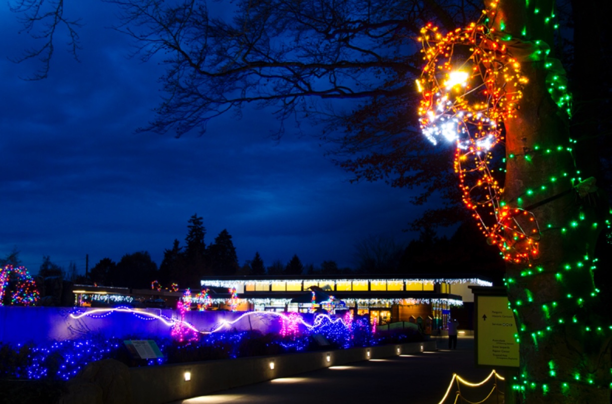 Things to Do in Seattle at Christmas allmomdoes
