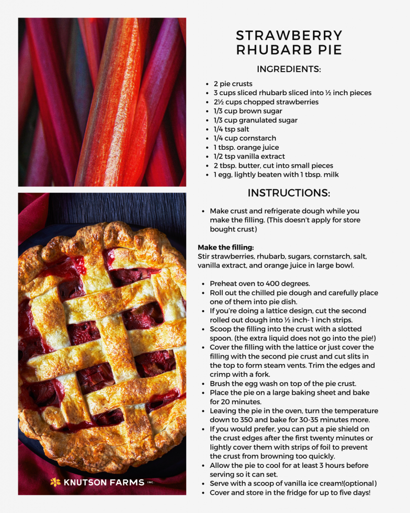 Strawberry Rhubarb Pie Allmomdoes 3271